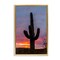 Stupell Industries Arizona Cactus at Sunset Floating Frame, design by Jeff Poe Photography